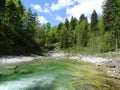 River Walchen near Sylvenstein lake Royalty Free Stock Photo