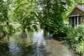 The river Wandle meandering through shady woodland