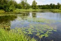 The river Warm in vicinities of Gatchina. Leningrad region Royalty Free Stock Photo