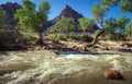 River and The Watchman, Zion National Park, Utah Royalty Free Stock Photo