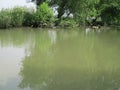 River water on the edge of fish and shrimp farmer settlements Royalty Free Stock Photo