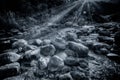 River water flowing through rocks at dawn, Reshi River, Sikkim, India