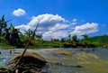 River water flowing in the rice field landscape