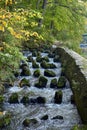 River water rapids. The river flows among trees. Mountain river in the forest. Beautiful view of nature. Landscape photo of green Royalty Free Stock Photo