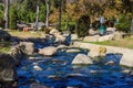 A river with water rushing over the rocks in the park surrounded by autumn trees and lush green grass with blue sky Royalty Free Stock Photo