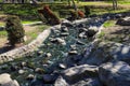 River water rushing over the rocks surrounded by lush green trees, grass and plants and bushes with red berries Royalty Free Stock Photo