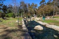 River water rushing over the rocks surrounded by lush green trees, grass and plants and bushes with red berries Royalty Free Stock Photo