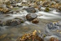 River water stones leaves autumn Royalty Free Stock Photo