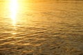 River water surface illuminated by the setting sun Royalty Free Stock Photo