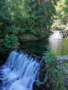 River with waterfalls in the forest