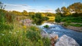 River Wear Wildflower Riverbank