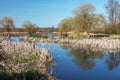 The River Wensum in Spring