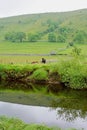 River Wharfe and Meadows near Kettlewell, Wharfedale, Yorkshire Dales, England, UK