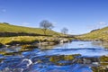 River Wharfe scenic Royalty Free Stock Photo