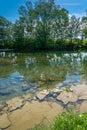 river channel water trees in the background-Kolpa