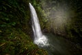 River with white stream, rainy day, green vegetation in national park. La Paz Waterfall Gardens, with green tropical forest, Royalty Free Stock Photo