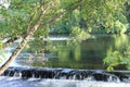 River width trees. Relax