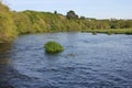 River width trees. Relax