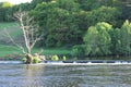 River width trees.