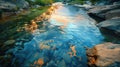 River in wilds, sky reflection on water during serene golden hour Royalty Free Stock Photo