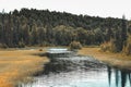 River winding thorugh a meadow to a woodland in Alaska Royalty Free Stock Photo