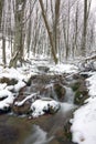 River in winter forest