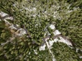 River in winter forest with green trees from above. Aerial drone image of river Gauja in Latvia Royalty Free Stock Photo