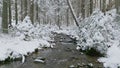 River winter forest nature tree ice outdoor season weather snow