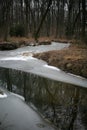 A river in a winter forest