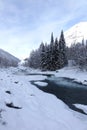 A river in winter Royalty Free Stock Photo