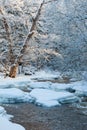 River in winter Royalty Free Stock Photo