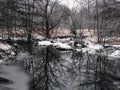 River in Winter: A river opens up into a small pond complete with muskrat homes in the water covered in snow