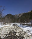 River in winter