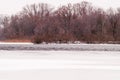 River, winter, snow Royalty Free Stock Photo