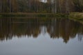 The river is wooded with numerous grasses, shrubs, and trees. Trees change into bright Royalty Free Stock Photo