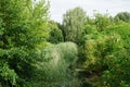 River Wuhle and surroundings with magnificent vegetation in August. Berlin, Germany