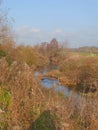 River Yeo Running Through Yeovil Country Park