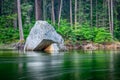 River in Yosemite National Park