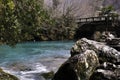 River in Yupsharsky canyon in Pitsundain, Abkhazia