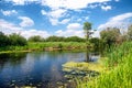 River Zala at Lake Balaton, Hungary Royalty Free Stock Photo