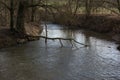 The river Zenn with fast moving water and a tree hanging across the river Royalty Free Stock Photo