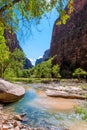 The river in zion park