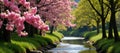 Riverbank adorned with pink blossoms among trees Royalty Free Stock Photo