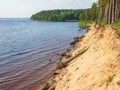 Riverbank erosion, crumbling shore of the large reservoir, fallen trees, beautiful view Royalty Free Stock Photo