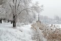 Riverbank, park, trees in the snow, ship, modern urban architecture