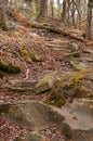 Riverbank in Robbers Cave