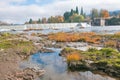 Riverbank at Umpqua Dam