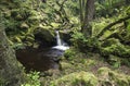 Riverbank and waterfall at Padley Gorge in Derbyshire Royalty Free Stock Photo