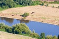 Riverbed from a bird eye view. Photo taken with a drone. Cows graze next to the river