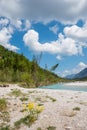 Riverbed of Isar river, bavarian wilderness and riparian zone